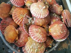 -鑫龙火锅城(青岛分店)