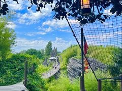 -巴黎迪士尼乐园