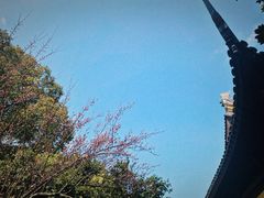 -常熟方塔园
