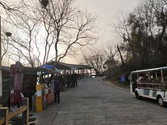 -巢湖姥山岛