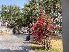 -赤坎·广东华侨国际旅游度假区