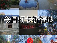-广州市帽峰山景区