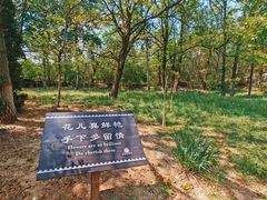 -抱犊寨风景区