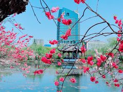 -无锡蠡湖国家湿地公园-蠡园
