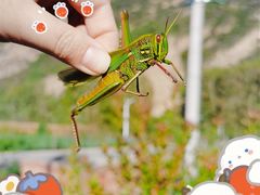 -白河湾山水缘民宿
