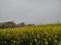 -中国天府农业博览园