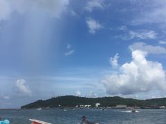 -红树林天天赶海