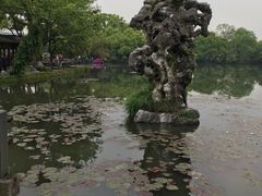 -西湖外事游船(花港观鱼码头)