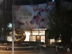 -新湖明珠城