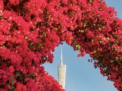 -海心沙亚运公园
