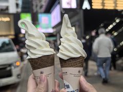 -富豪雪糕车流动点(尖沙咀店)