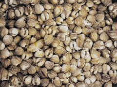 -赤山海景丽呈酒店