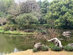 -杭州植物园