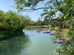 -西溪国家湿地公园