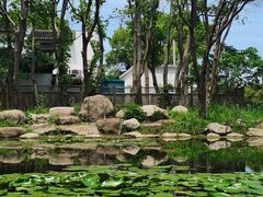-同里国家湿地公园