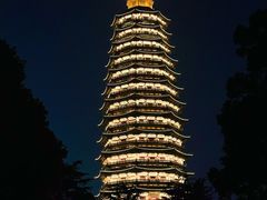 -红梅公园