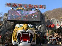 -栾川竹海野生动物园