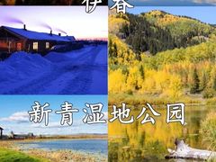 -汤旺河林海奇石景区
