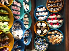 -沈阳海洋探索中心