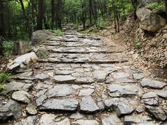 -阳台山自然风景区