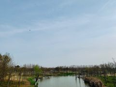 -上海长兴岛郊野公园