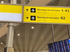 -谢列梅捷沃国际机场
