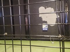-VS SPORTS PARK运动玩乐园·团建·生日会(合生汇店)