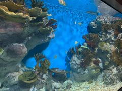 -福州罗源湾海洋世界旅游区