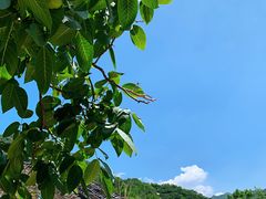 -北京山里寒舍度假酒店