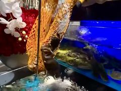 -苏格里岛自助烤肉海鲜火锅(成都金牛万达店)