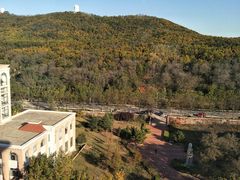 -山东大学(威海校区)