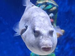 -南昌融创海世界