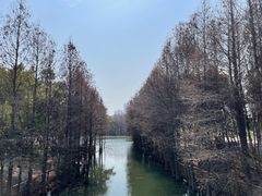 -厦门园林博览苑