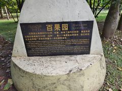 -中国科学院西双版纳热带植物园