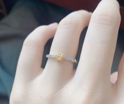 -钻石小鸟钻戒婚戒定制(石路店)