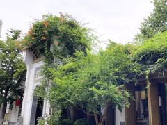 -鲤院·新中式美学·庭院餐厅(夫子庙店)
