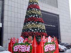圣诞树-国商百货(卫星广场店)
