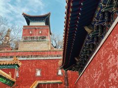 -颐和园