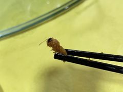 -红炎炎农家菜老字号(金水台店)