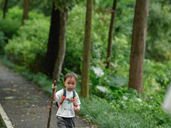 -火炉山森林公园