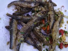 -全乐鱼馆·淳牌有机鱼直营店