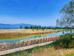 -野鸭湖国家湿地公园