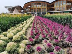 -中国天府农业博览园