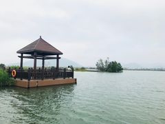 -芒洲湿地公园