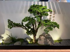 -蜜桃餐厅·伴山(绿宝广场店)