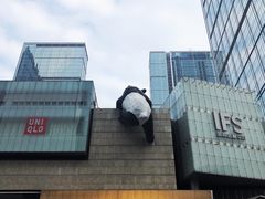 -蜀大侠火锅(寰球文化地标·总府店)