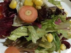 田园时蔬沙拉-布拉格餐厅· 中欧捷克菜(全国首店)