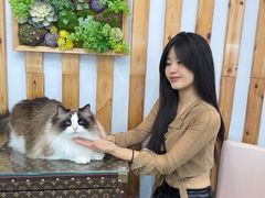 -青奢宠物·青奢猫舍