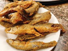 -官厅老勾渔馆(温泉店)