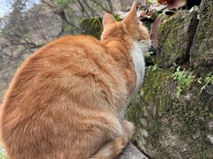 -终南山南五台景区